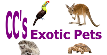 CC's Exotics Pets